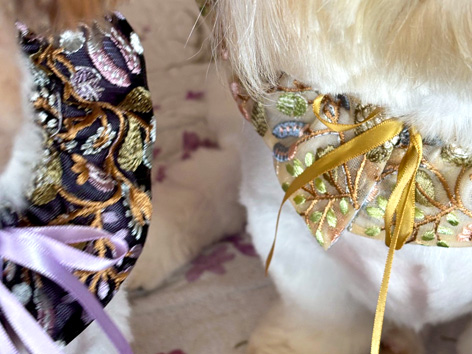 ペット用アクセサリ1